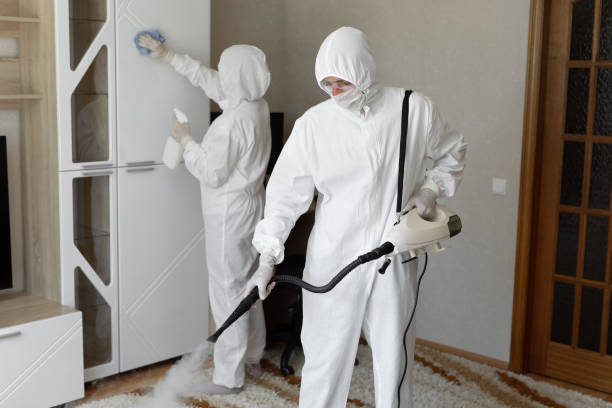 24/7 Emergency Odor Removal experts in Johnson City, TN