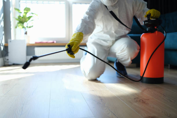 Reliable Odor Removal contractor in Johnson City, TN by Trauma Clean Pros